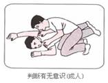 太阳集团