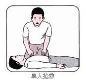 太阳集团