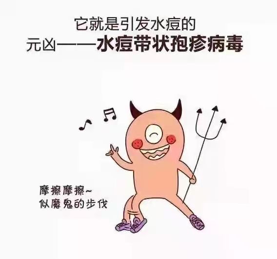 太阳集团