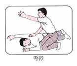 太阳集团